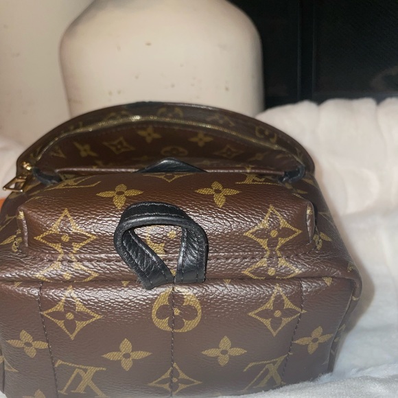 SOLD! Louis Vuitton Palm Spring Mini - Picture 2 of 10